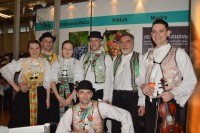 /album/fotogaleria/dsc-0411-jpg/